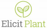 elicit plant