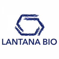 lantana